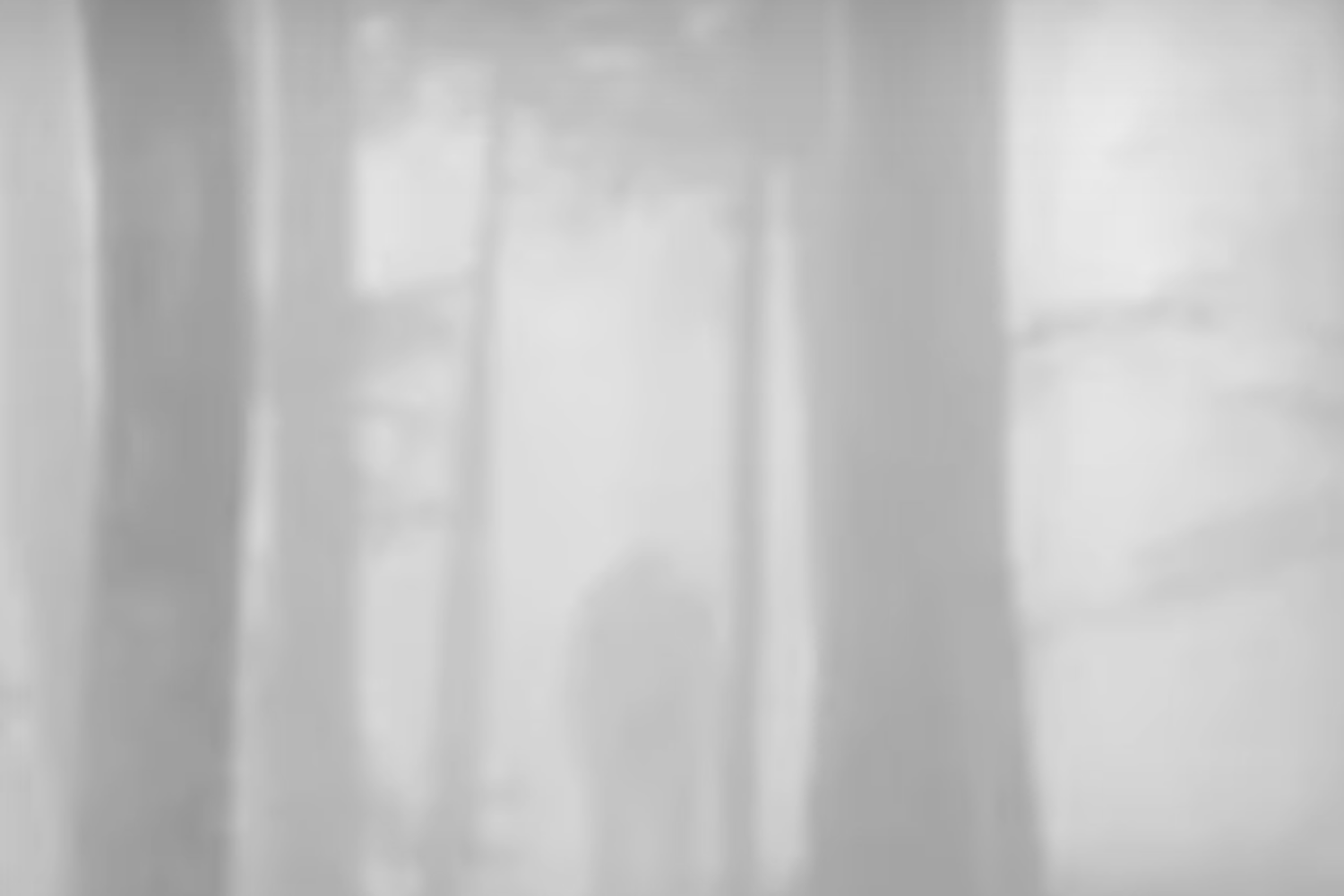 MS患者にとってマッサージ療法は安全ですか?