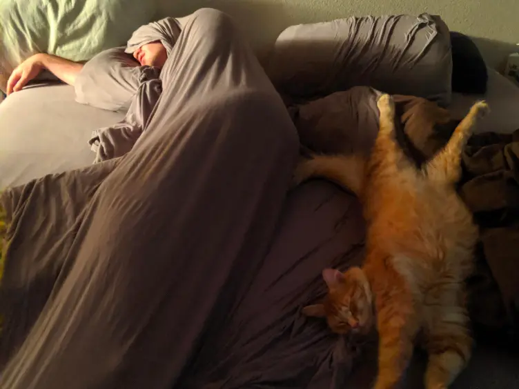 Dream Easy: Mastering the Art of Restful Slumber